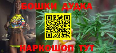 шишки Будённовск