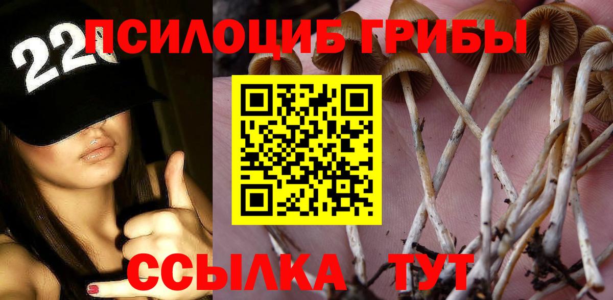 Галлюциногенные грибы MAGIC MUSHROOMS Самара